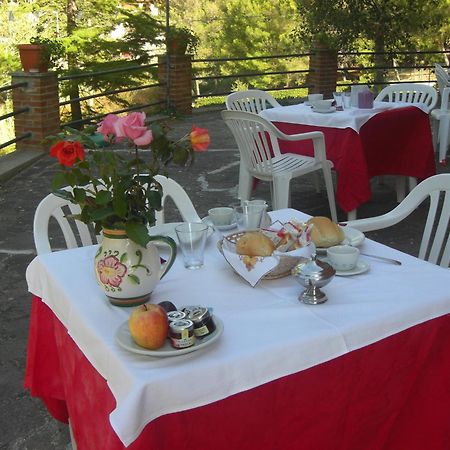 Hotel Il Poggetto Castellina Marittima Buitenkant foto