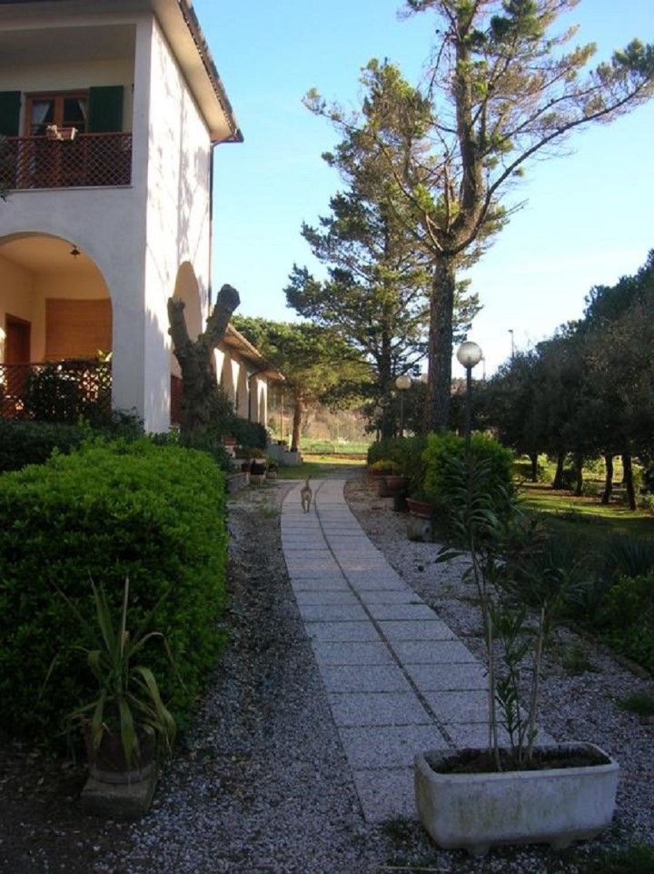 Hotel Il Poggetto Castellina Marittima Buitenkant foto